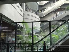 -黑龙江中医药大学附属第一医院