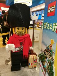 -乐高品牌旗舰店(人民广场店)