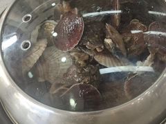 -仙螺岛海鲜自助餐厅(总店)
