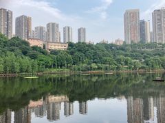 -重庆彩云湖湿地公园