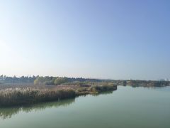 -贡湖湾湿地公园
