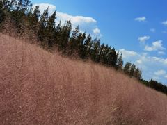 -嘉北郊野公园