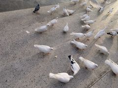 -上海交通大学(闵行校区)