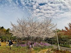 -白塘生态植物园