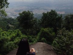 -火炉山森林公园