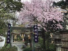 -京都御所