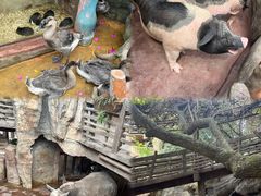 -长鹿旅游休博园