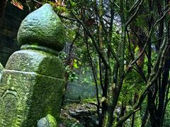 -武当山风景区
