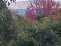 -苍山感通索道