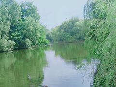 -长白岛森林公园