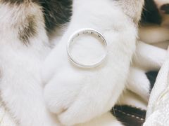 -情侣·团建·手作工坊(虹桥汇金百货店)