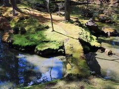 -西芳寺(苔寺)