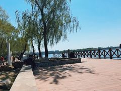 -丁香湖公园