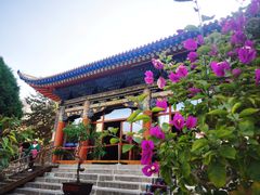 -西宁市东关清真大寺
