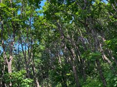 -白草畔自然风景区