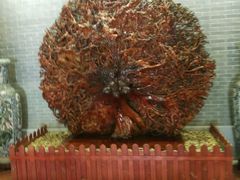 -顺德君豪酒店(佛山容桂渔人码头店)