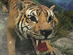 -国家自然博物馆