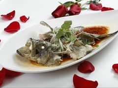 -厦门艾美酒店·新食谱西餐厅