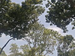 -香山湖公园
