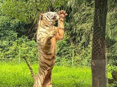 -杭州野生动物世界