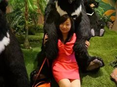 景点-济州岛泰迪熊博物馆