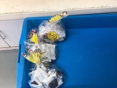 -来噻布布 Lets BUBU