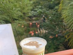 -ZOO COFFEE动物园咖啡(红山森林动物园店)