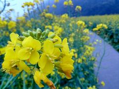 android_upload_pic-广州市石门国家森林公园