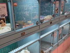 -FAELING PETS美天灵宠物(合生汇店)