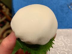 -老淳安—伴山伴湖(千岛湖开元度假村店)