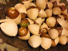 -本寻烧肉酒场(双井店)