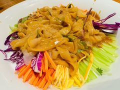 五彩大拉皮-壹零捌道·北京烤鸭(车公庄店)