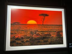 -罗红摄影艺术馆