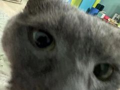 -美联众合动物医院·24h转诊中心