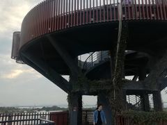 -芒洲湿地公园