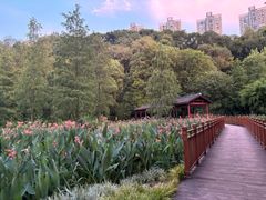 -重庆彩云湖湿地公园