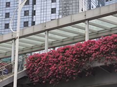 -江南足纪·影院足道·轻奢SPA(京基水贝店)