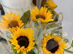 -米莱欧百货(吉利店)