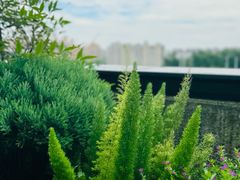 -曼乐辰餐厅(中庚漫游城店)