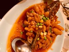 松子桂鱼-新南华大酒店(长寿店)