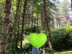 -硗碛藏寨·神木垒景区