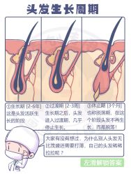 -Bollins波林丝•专研护发中心