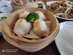 -榕树下海鲜楼(开元店)
