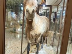 -龙湖西安曲江天街