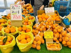 -黑潮市场