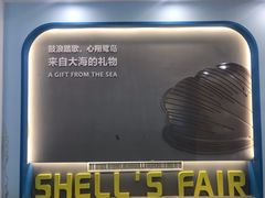 -贝壳梦幻世界