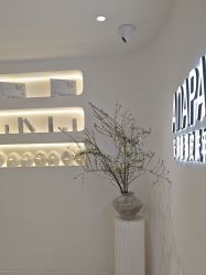 -安那般那皮肤年轻化ANAPANA