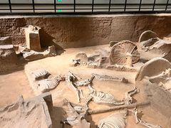 -洛阳周王城天子驾六博物馆