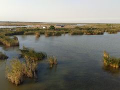 -盐城丹顶鹤湿地生态旅游区