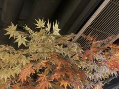 -城墙拐拐火锅(三峡广场黑金冠店)